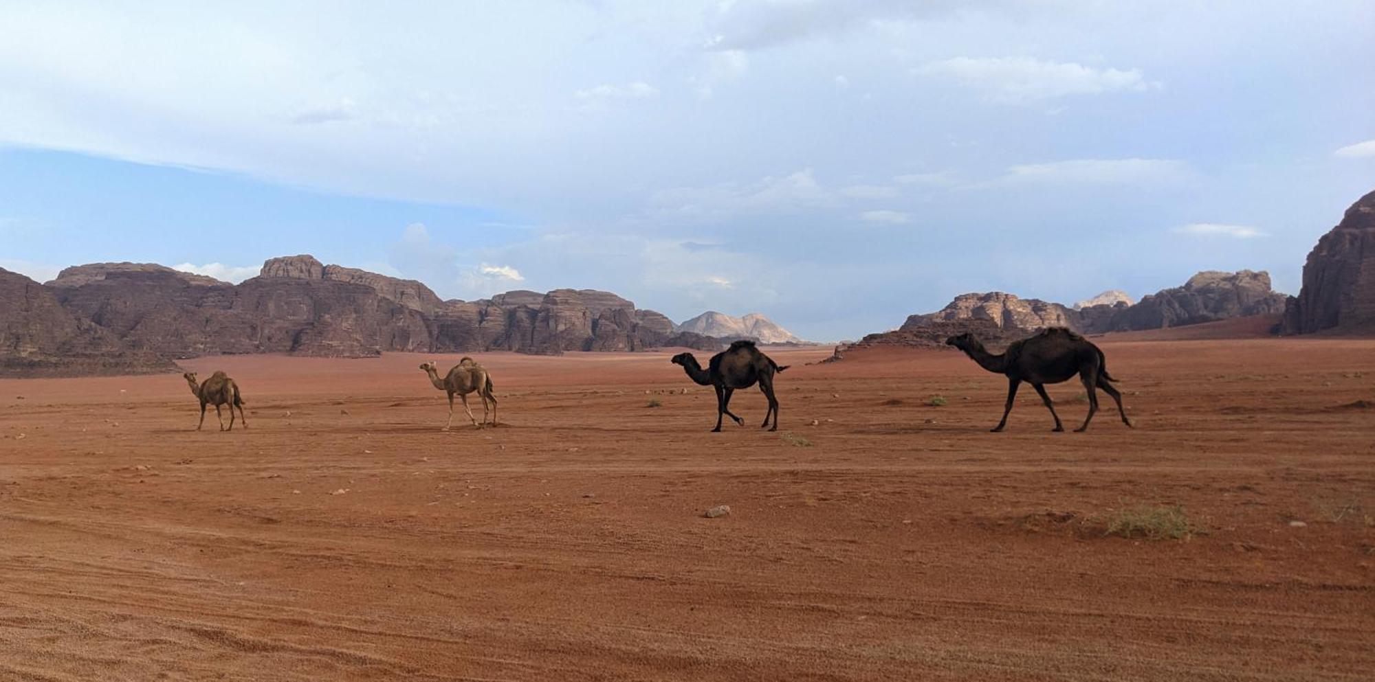 Wadi Rum Camp & Jeep Tour Exterior foto
